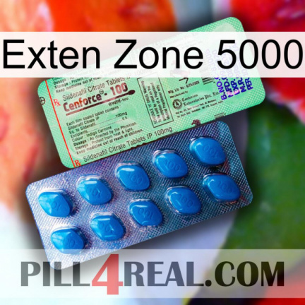 Exten Zone 5000 new02